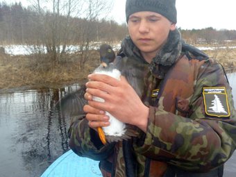 Фото пресс-службы Кенозерского национального парка. Фото пресс-службы Кенозерского национального парка.