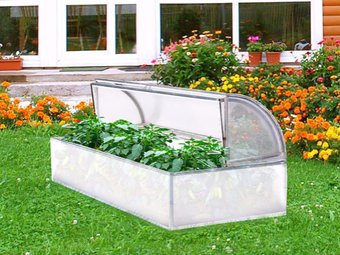 Фото предоставлено торговой сетью «Муравей». Фото предоставлено торговой сетью «Муравей».