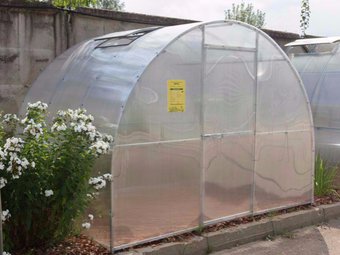 Фото предоставлено торговой сетью «Муравей». Фото предоставлено торговой сетью «Муравей».